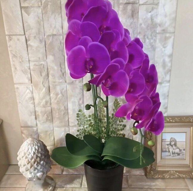 光触媒　人工観葉植物　ウォールグリーン　フェイクグリーン　リアル胡蝶蘭ブルーg 光触媒 人工観葉植物 ウォールグリーン フェイクグリーン リアル胡蝶蘭