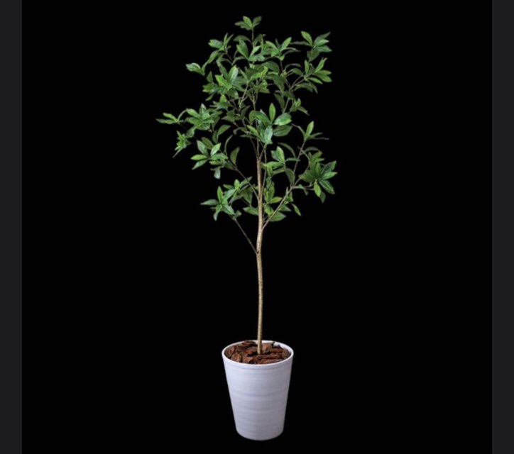 光触媒 人工観葉植物 ウォールグリーン フェイクグリーン アセビ8322