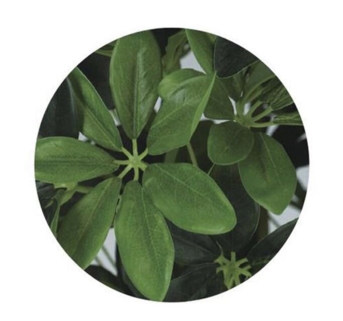 光触媒 人工観葉植物 ウォールグリーン フェイクグリーン グリーン