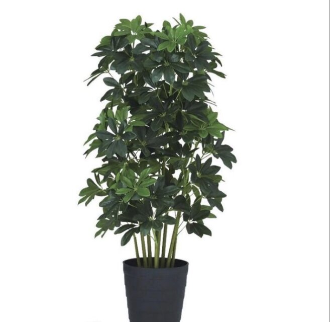 光触媒 人工観葉植物 ウォールグリーン フェイクグリーン グリーン