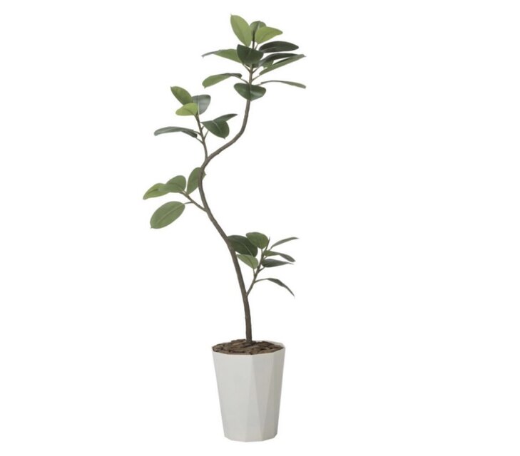 光触媒 人工観葉植物 ウォールグリーン フェイクグリーン フレッシュ