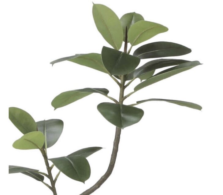 光触媒 人工観葉植物 ウォールグリーン フェイクグリーン フレッシュ