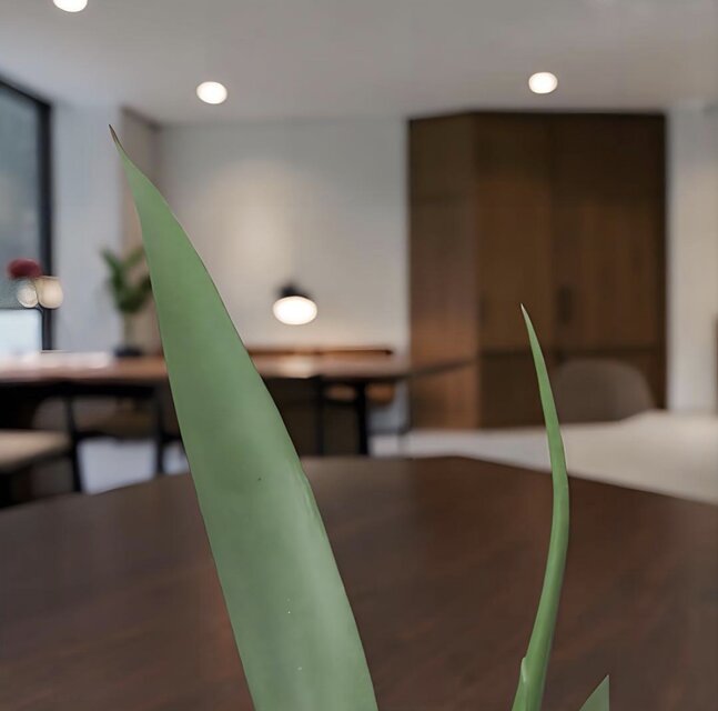 光触媒 人工観葉植物 ウォールグリーン フェイクグリーン ユッカポット