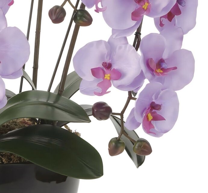 光触媒 人工観葉植物 ウォールグリーン フェイクグリーン クイーン胡蝶