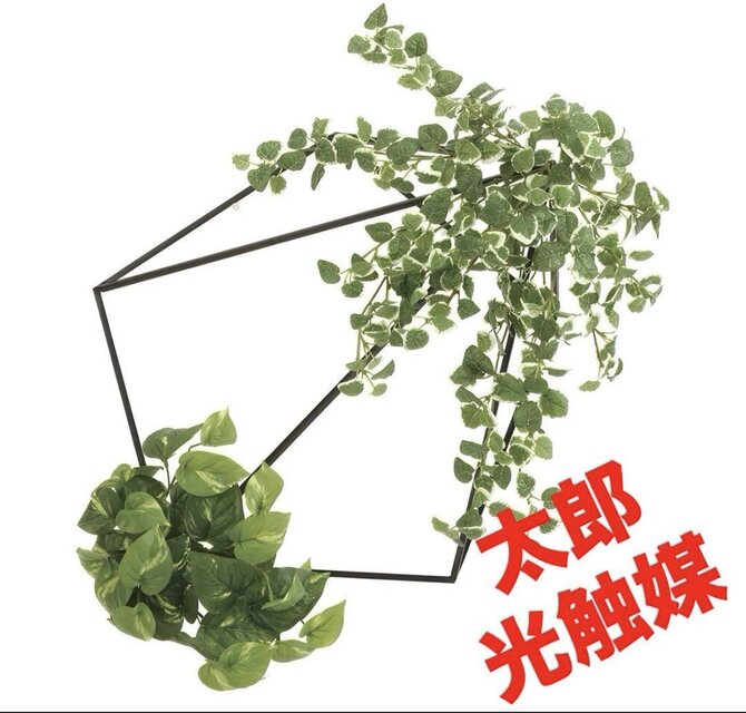 光触媒 人工観葉植物 ウォールグリーン フェイクグリーン 壁面緑化