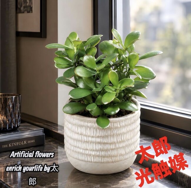光触媒 人工観葉植物 ウォールグリーン フェイクグリーン 21エケベリア