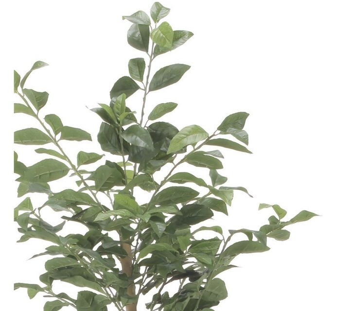 光触媒　人工観葉植物　ウォールグリーン　フェイクグリーン　レモンの木1.6 光触媒 人工観葉植物 ウォールグリーン フェイクグリーン レモンの木