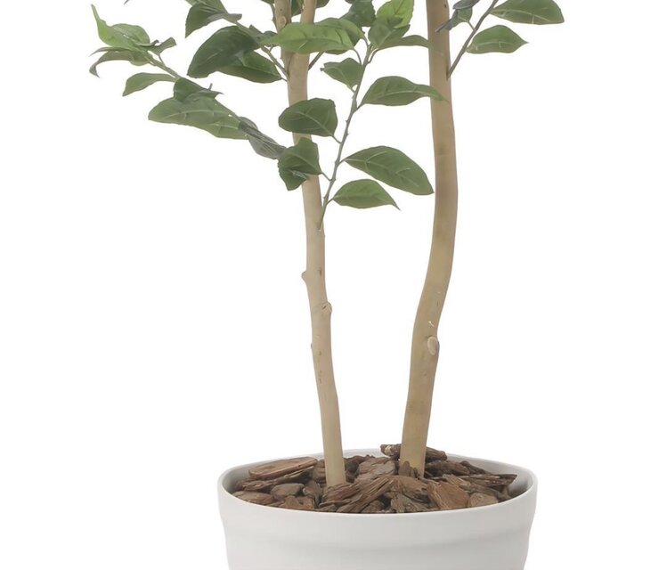 光触媒 人工観葉植物 ウォールグリーン フェイクグリーン レモンの木
