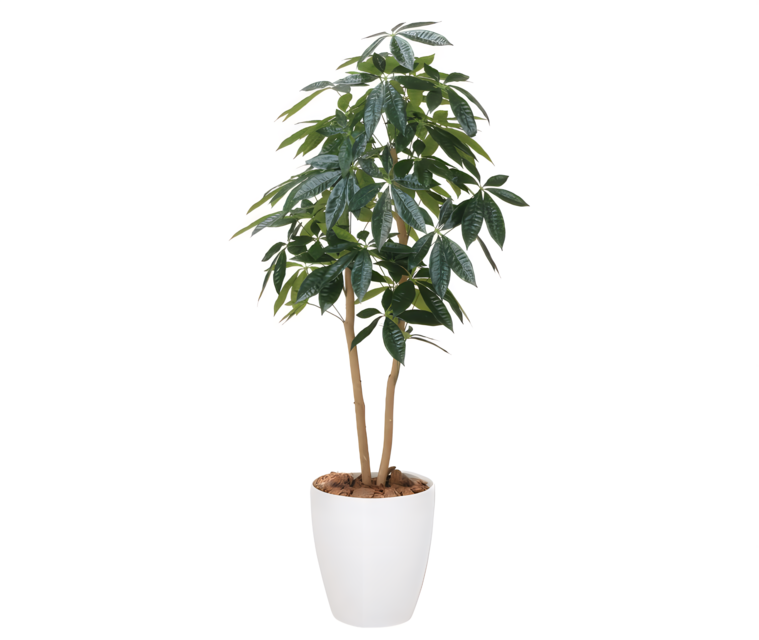 光触媒 人工観葉植物 ウォールグリーン フェイクグリーン パキラ1.35