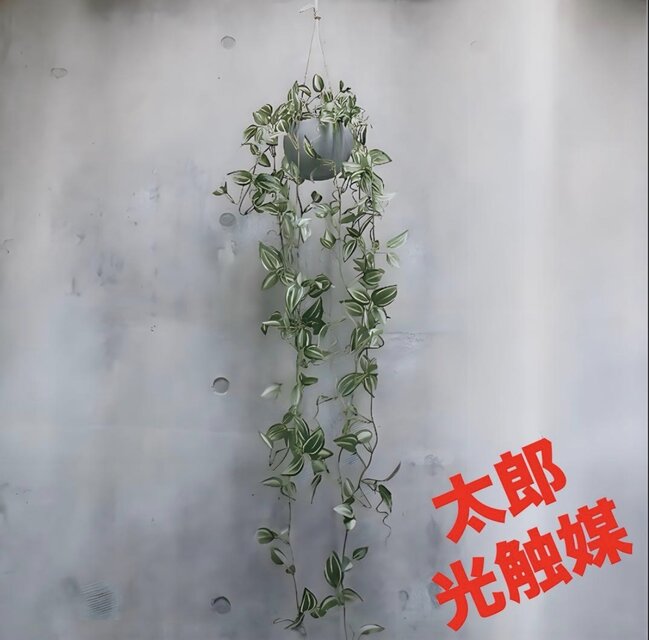光触媒 人工観葉植物 ウォールグリーン フェイクグリーン トラディスカ