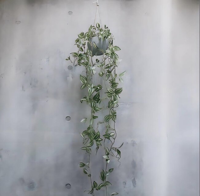 光触媒 人工観葉植物 ウォールグリーン フェイクグリーン トラディスカ