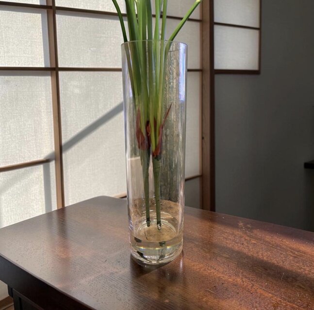 光触媒 観葉植物 ウォールグリーン フェイクグリーン マジカル