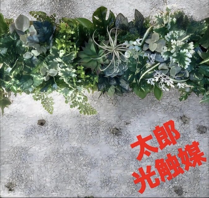光触媒 人工観葉植物 ウォールグリーン フェイクグリーン 壁掛け851536