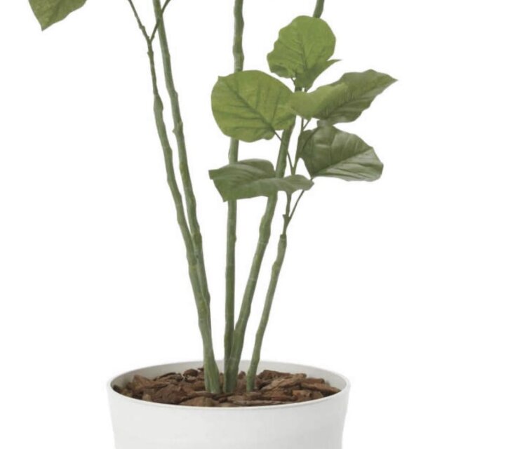 光触媒 観葉植物 ウォールグリーン フェイクグリーン ブランチ