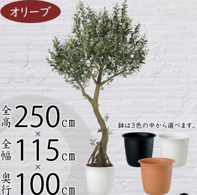 光触媒 人工観葉植物 ウォールグリーン フェイクグリーン ブラック