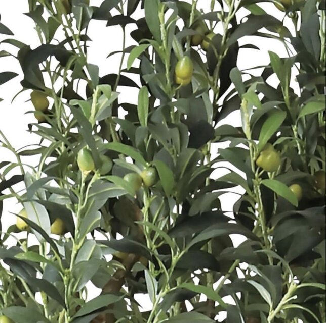 光触媒 人工観葉植物 ウォールグリーン フェイクグリーン ブラック