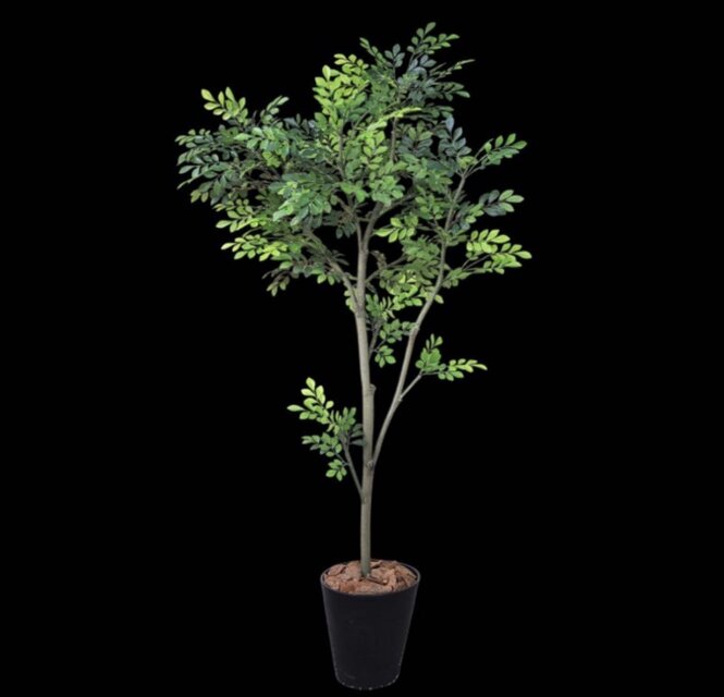 光触媒 人工観葉植物 ウォールグリーン フェイクグリーン トネリコ1123
