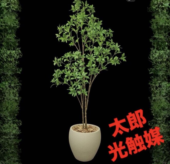 光触媒 人工観葉植物 ウォールグリーン フェイクグリーン アセビ8329