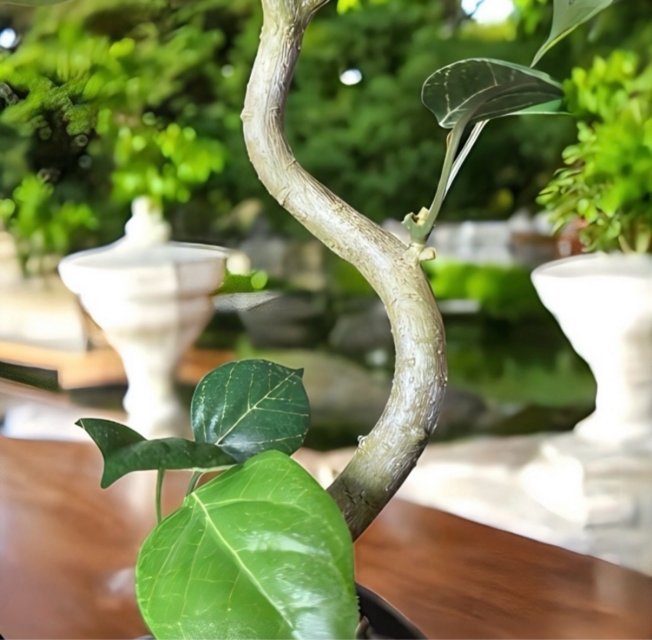 光触媒 人工観葉植物 ウォールグリーン フェイクグリーン ガジュマル42