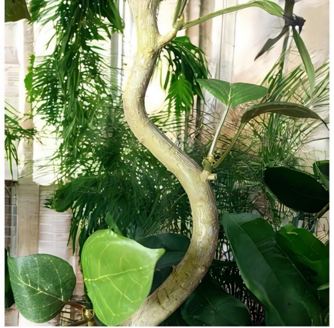 光触媒 人工観葉植物 ウォールグリーン フェイクグリーン ガジュマル42
