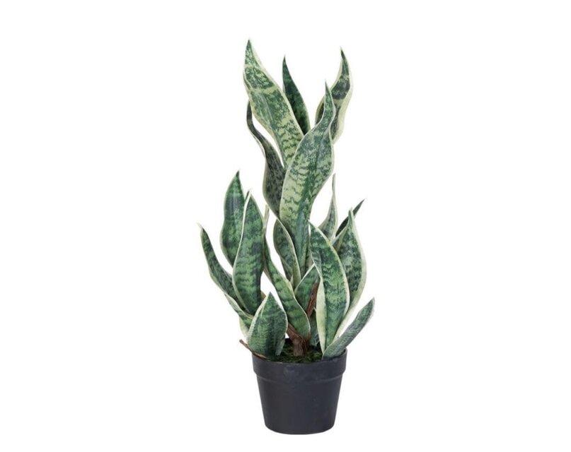光触媒 人工観葉植物 ウォールグリーン フェイクグリーン サンスベリア