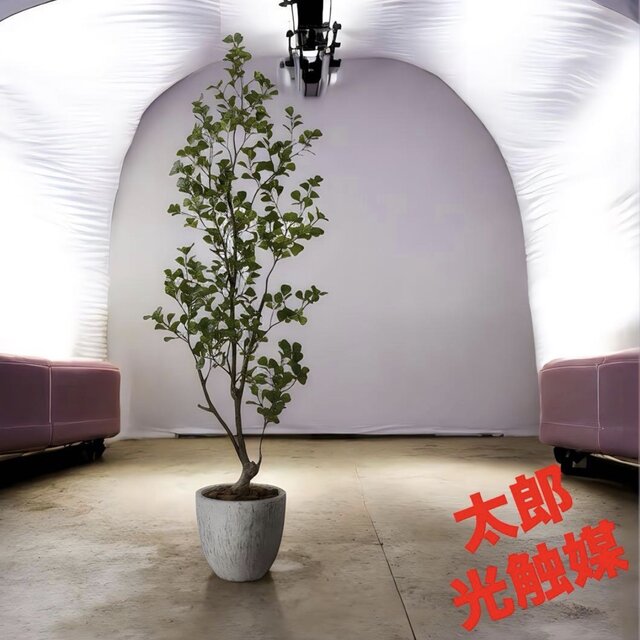 光触媒 人工観葉植物 ウォールグリーン フェイクグリーン トライ