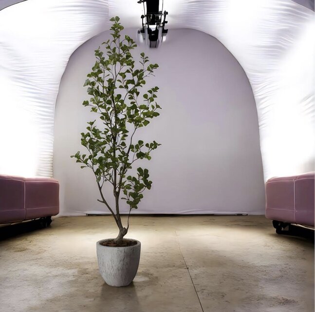 光触媒 人工観葉植物 ウォールグリーン フェイクグリーン トライ