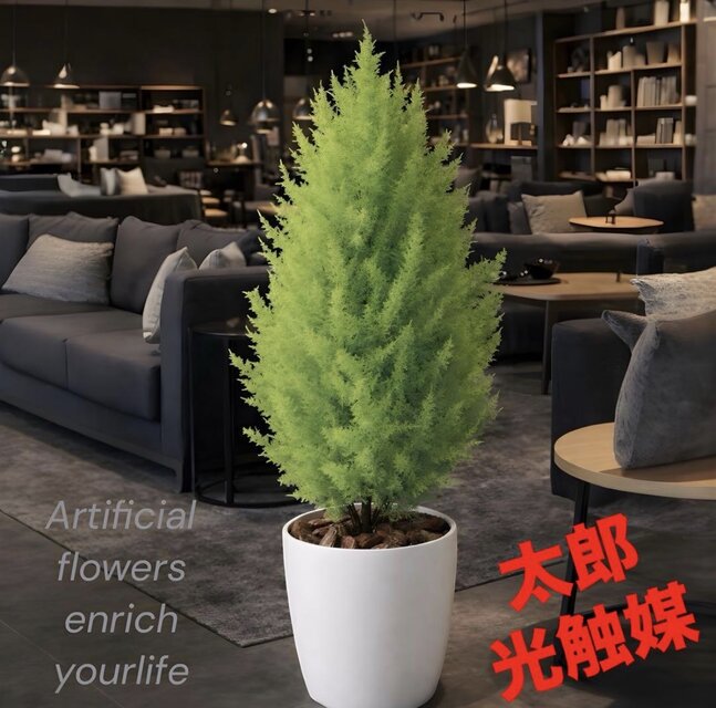 光触媒 観葉植物 ウォールグリーン フェイクグリーン ゴールドクレスト