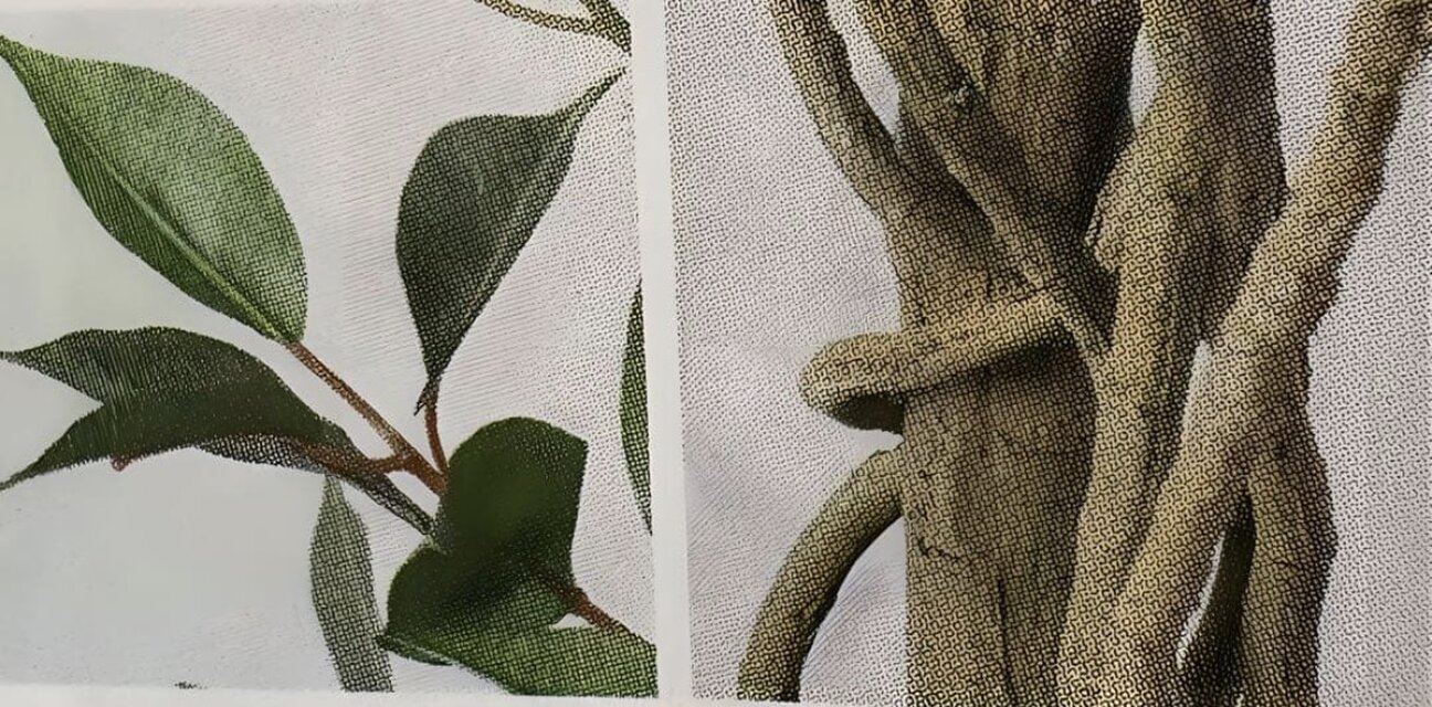 光触媒 人工観葉植物 ウォールグリーン フェイクグリーン フィカス