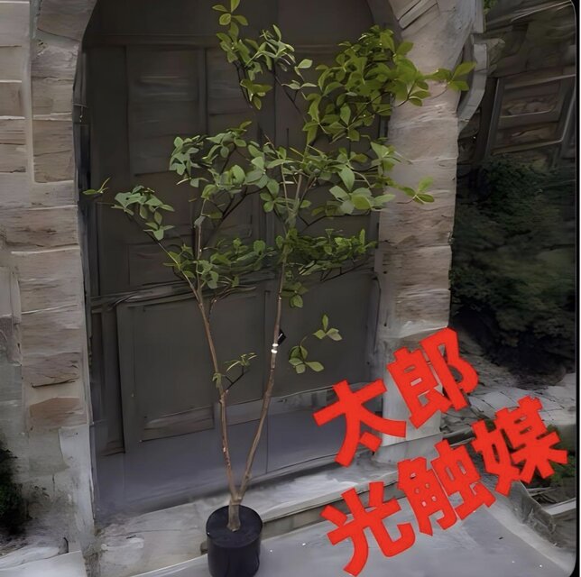 光触媒 人工観葉植物 ウォールグリーン フェイクグリーン マダガスカル