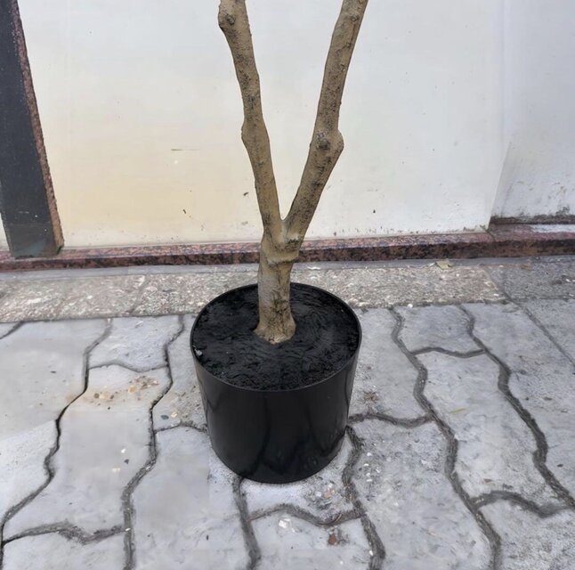 光触媒 人工観葉植物 ウォールグリーン フェイクグリーン マダガスカル