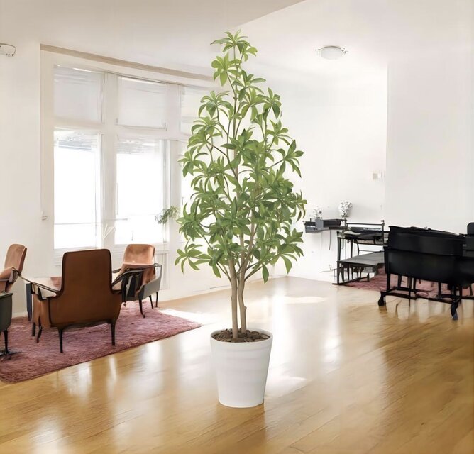 光触媒 観葉植物 ウォールグリーン フェイクグリーン フレッシュアセビ
