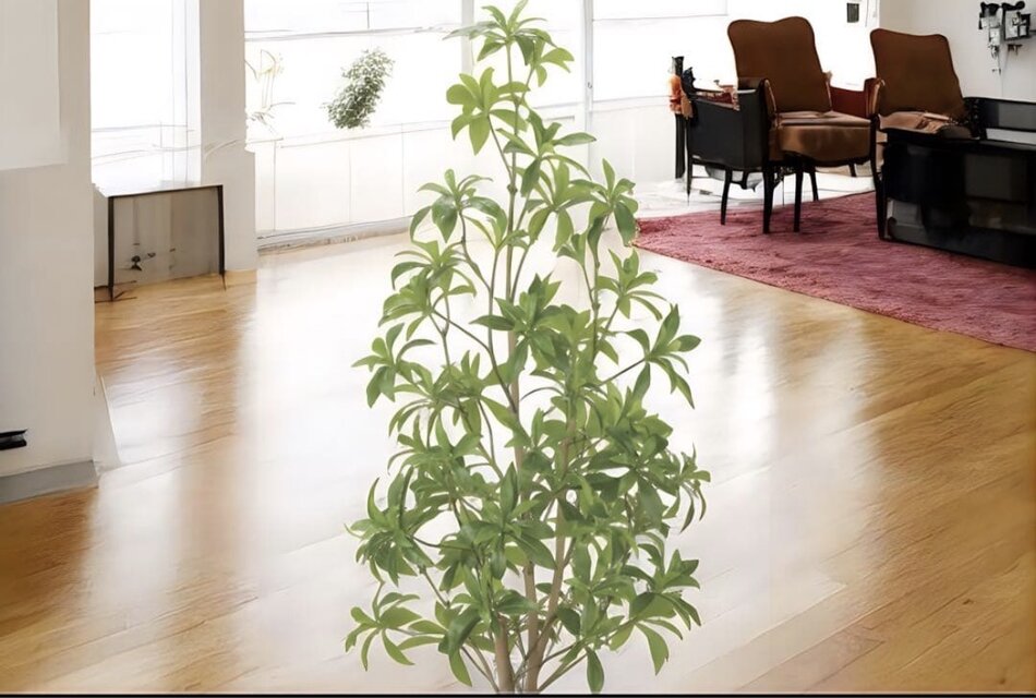 光触媒 観葉植物 ウォールグリーン フェイクグリーン フレッシュアセビ