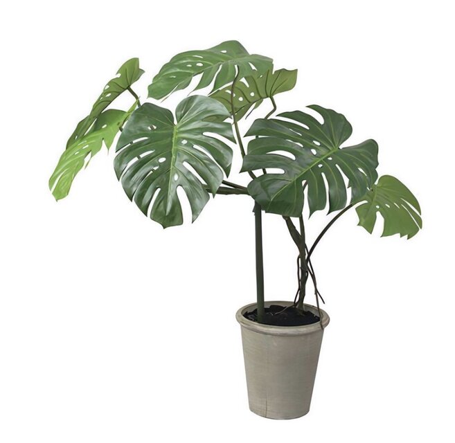光触媒 人工観葉植物 フェイクグリーン モンステラポットNGR
