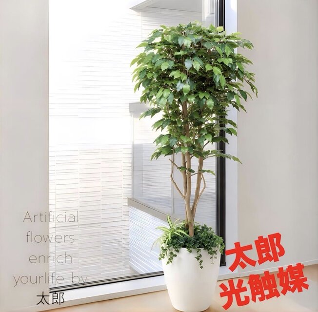 光触媒 人工観葉植物 ウォールグリーン フェイクグリーン ベンジャミン