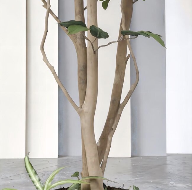 光触媒 人工観葉植物 ウォールグリーン フェイクグリーン ベンジャミン