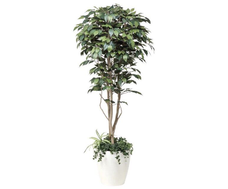 光触媒 人工観葉植物 ウォールグリーン フェイクグリーン ベンジャミン