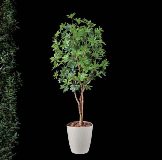 光触媒 人工観葉植物 ウォールグリーン フェイクグリーン カポック8321