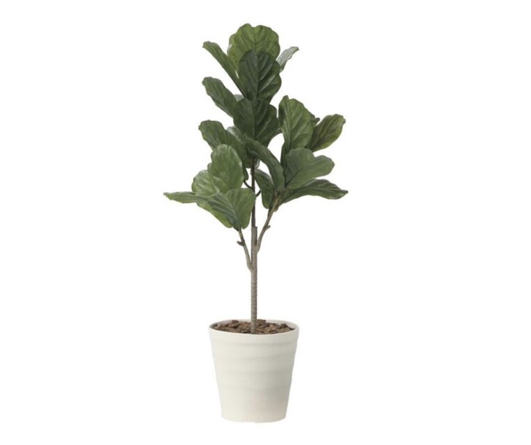 光触媒　人工観葉植物　ウォールグリーン　フェイクグリーン　カシワバゴム90 光触媒 人工観葉植物 ウォールグリーン フェイクグリーン カシワバゴム