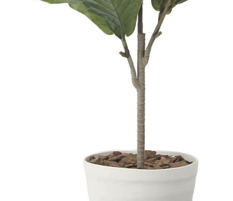 光触媒　人工観葉植物　ウォールグリーン　フェイクグリーン　ゴムの木90 光触媒 人工観葉植物 ウォールグリーン フェイクグリーン カシワバゴム