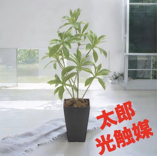 光触媒 人工観葉植物 ウォールグリーン フェイクグリーン フレッシュ