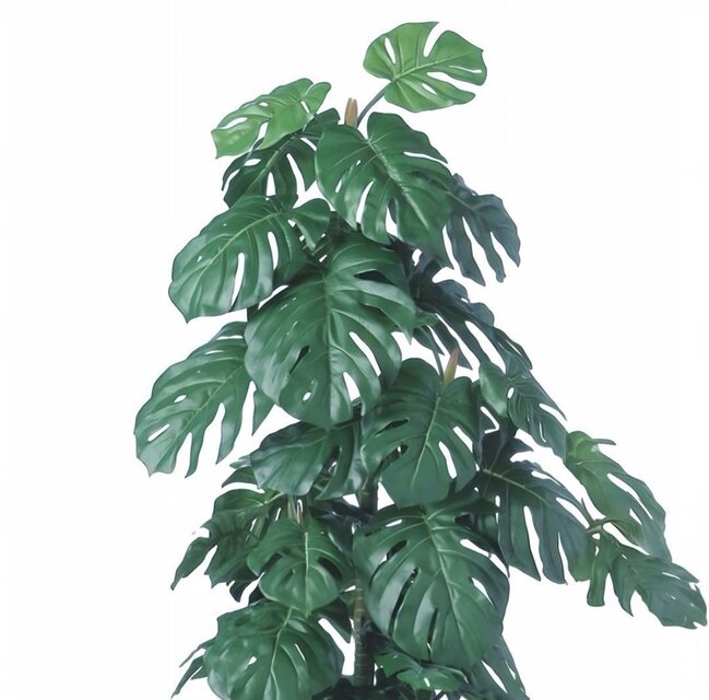 光触媒 人工観葉植物 ウォールグリーン フェイクグリーン モンステラ