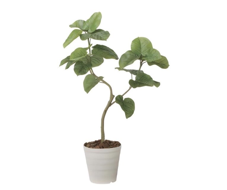 光触媒　人工観葉植物　ウォールグリーン　フェイクグリーン　ウンベラータ1.8p 光触媒 人工観葉植物 ウォールグリーン フェイクグリーン ウンベラータ