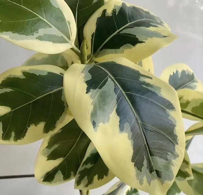 光触媒 人工観葉植物 ウォールグリーン フェイクグリーン ツイスト