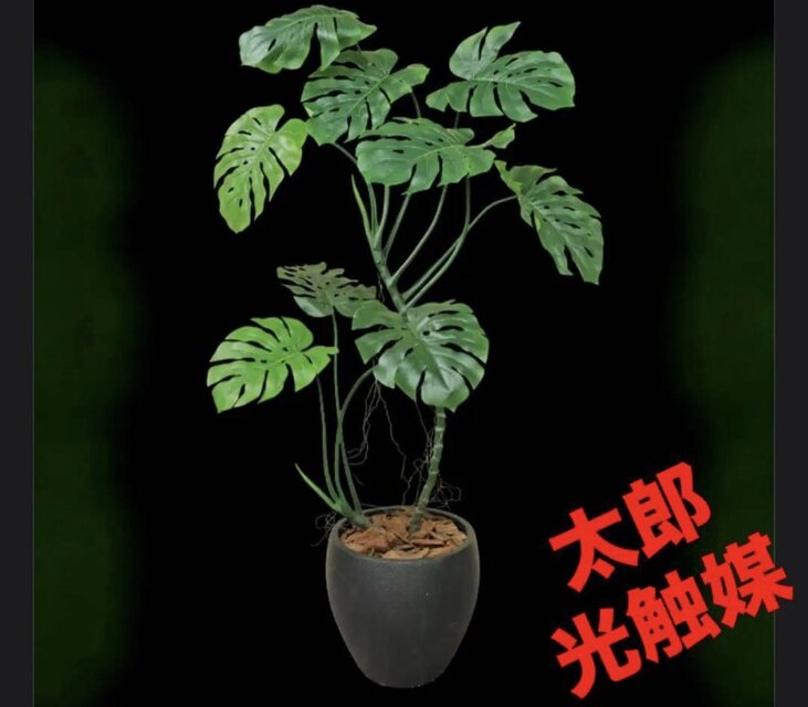光触媒　人工観葉植物　ウォールグリーン　フェイクグリーン　ワイルドモンステラ 光触媒 人工観葉植物 ウォールグリーン フェイクグリーン モンステラ