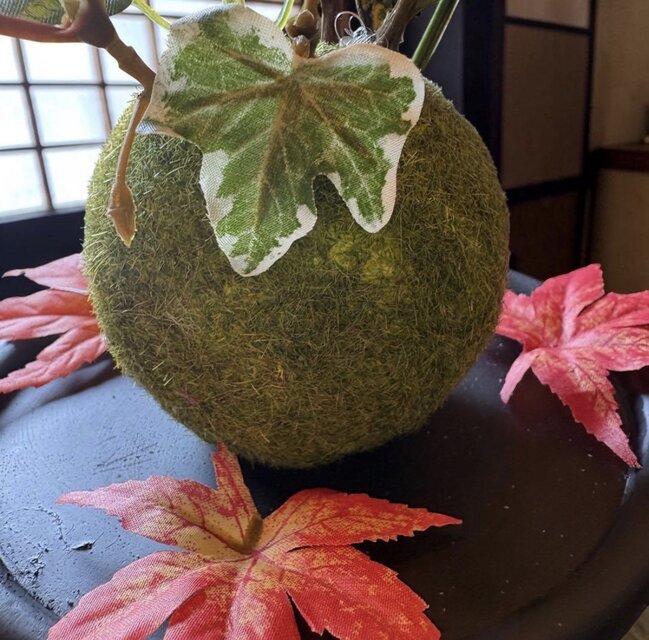 光触媒 人工観葉植物 ウォールグリーン フェイクグリーン 苔玉ドウダン