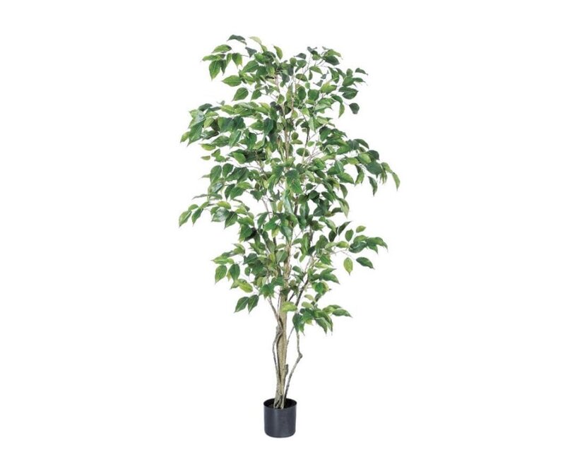 光触媒 人工観葉植物 ウォールグリーン フェイクグリーン フィカス