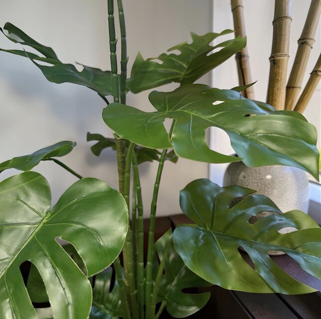 光触媒 人工観葉植物 ウォールグリーン フェイクグリーン モンステラ黒