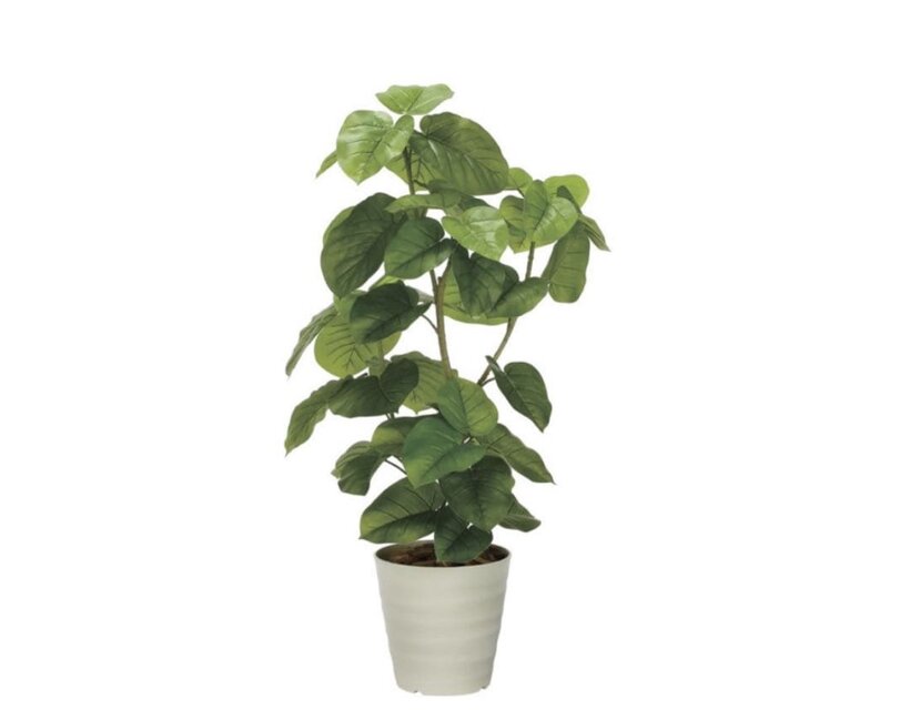 光触媒 観葉植物 ウォールグリーン フェイクグリーン フレッシュDX