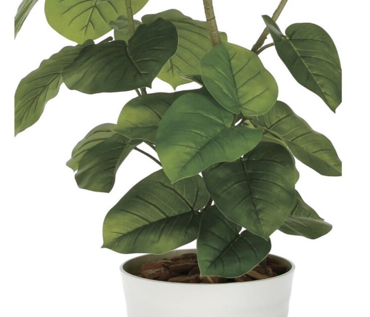 光触媒 観葉植物 ウォールグリーン フェイクグリーン フレッシュDX